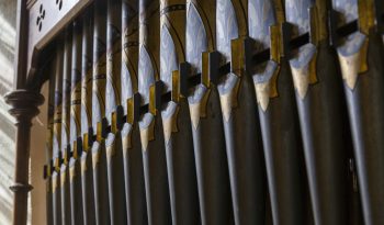 organ musical instrument